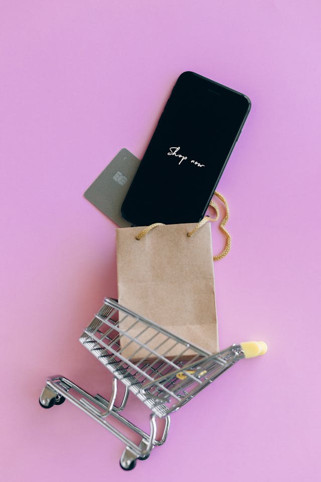 Established online retailers