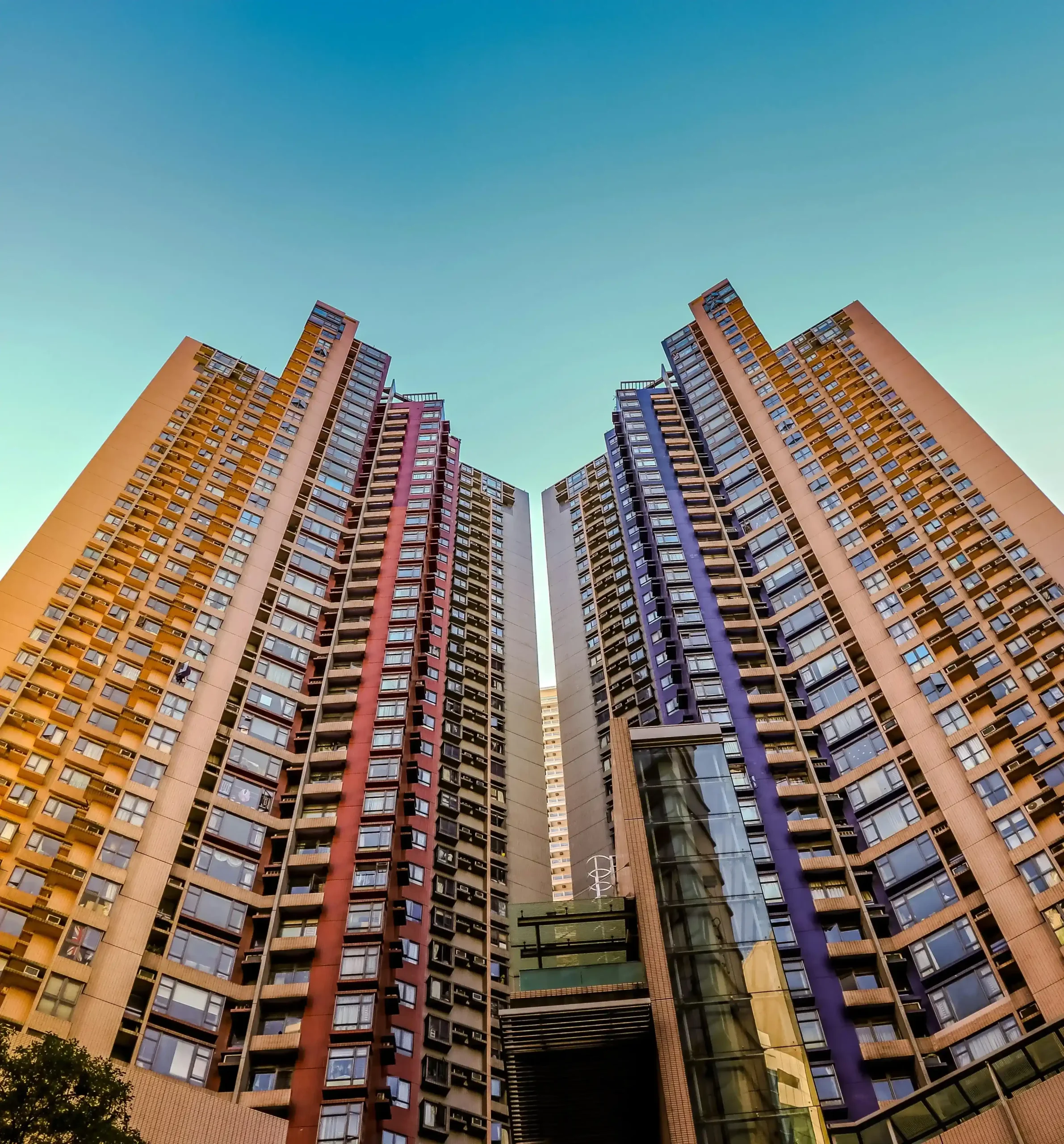 Service-based networks (real estate, education, repair)