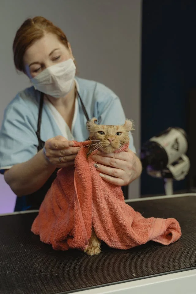 Veterinary clinic