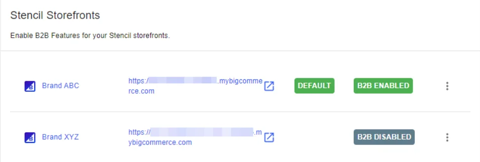 Multi-Store, International & B2B Capabilities