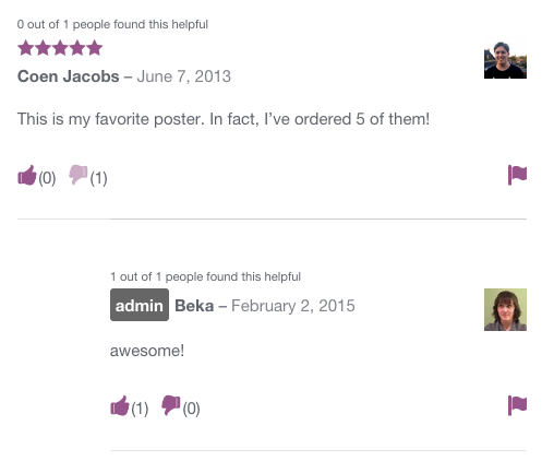 Frontend Review Display (Widget Example)